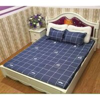 Ga trải giường cotton poly 2m2 (3 món)