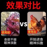 Gà Trị Mụn Thuốc Gà Trị Mụn Làm Sạch Bồ Câu Mụn Tinh Thần Loại Bỏ Gà Mụn Bồ Câu Trị Mụn Phân Tán Gà Bồ Câu Loại Bỏ Mụn Đặc Biệt Không Làm Tổn Thương Gà Gia Cầm Y Học 0227 ~ 25