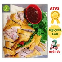 Gà ủ muối thảo mộc hoa cúc nguyên con Chum Kitchen, gà nhà làm tươi ngon đảm bảo vệ sinh, kèm nước sốt chấm đặc biệt