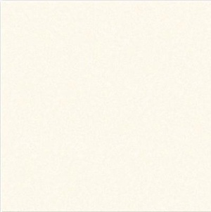 Gạch 1mx1m VITTO ĐT 10602