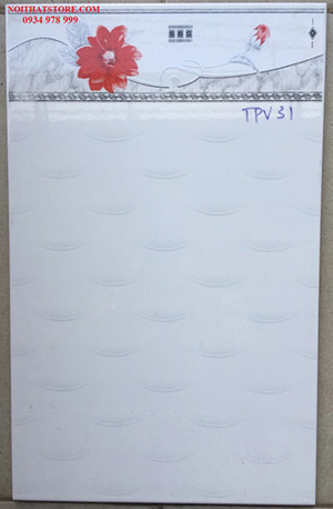 Gạch 25x40 TPV31