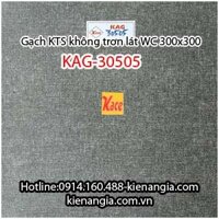 Gạch 300x300 lát WC kỹ thuật số KAG-30505