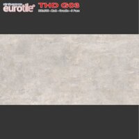 Gạch 300x600 Eurotile Thiên Di THD G03