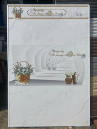 Gạch 300x600 Thanh Lý giảm giá