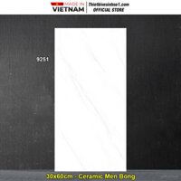 Gạch 30x60 Prime 9251