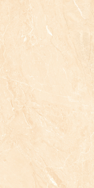 Gạch 600x1200 Viglacera Cửu Long CL GP61211