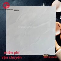 Gạch 60×60 kim phong 660070p