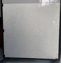 Gạch 60x60 FG6001