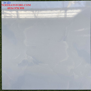 Gạch 60x60 PH601