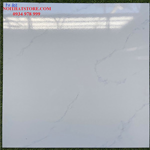 Gạch 60x60 PH603