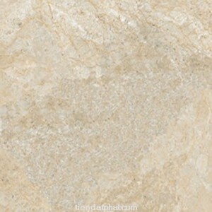 Gạch 60x60cm Đồng Tâm 6060TRUONGSONN-006