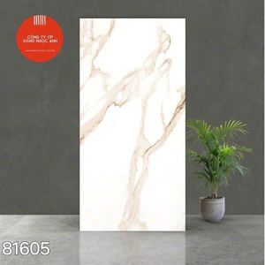 Gạch ấn độ 800x1600 81605