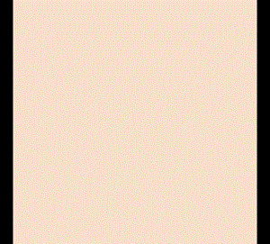 Gạch Bạch Mã 60x60 HG6000