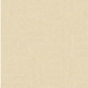Gạch Bạch Mã 60x60 MP60002