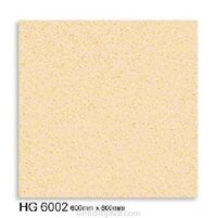 Gạch Bạch Mã 60x60cm HG6002