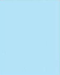 Gạch bể bơi Đồng Tâm 20×25 màu xanh 2541