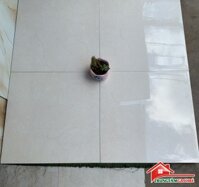 Gạch Bóng Kiếng 60x60 Lát Nền Ốp Tường Giá Rẻ