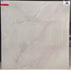 Gạch bóng kính Prime 8830 - 80x80