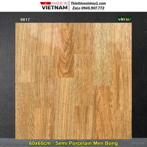 Gạch bóng kính Tasa 6617 - 60x60