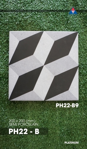 Gạch bông lát nền Viglacera PH22-B9