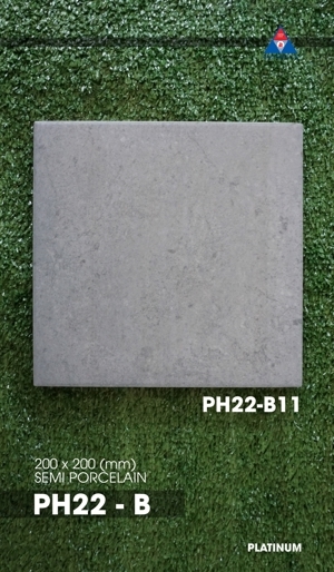 Gạch bông lát nền Viglacera PH22-B11