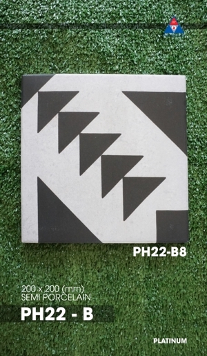 Gạch bông men Platium Viglacera PH22-B8