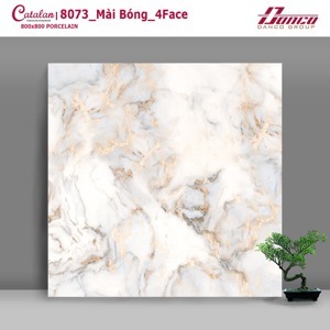 Gạch Catalan 800×800 8073