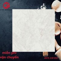 gạch ceramic 60×60 đồng tâm platinum TRANGAN004 FP 600×600