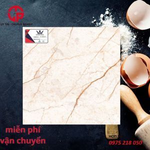 Gạch đá Granite bóng kính lát nền Trung Nguyên 60x60 mã gạch P60827