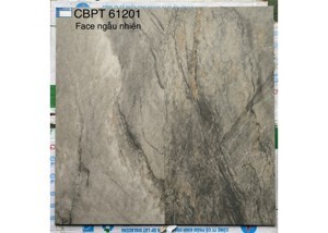 Gạch đồng chất Viglacera Platium CB PT61201