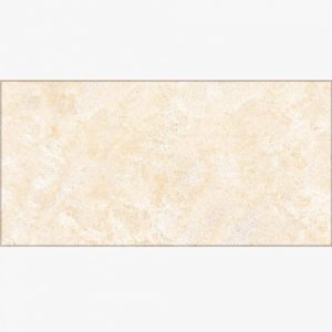 Gạch Đồng Tâm 1020ROCK008