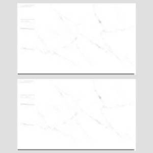 Gạch Đồng Tâm 2540CARARAS001