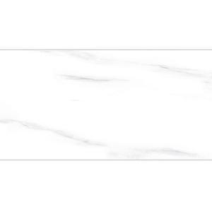 Gạch Đồng Tâm 2540CARARAS001