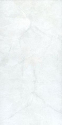 Gạch Đồng Tâm 2560NGOCTRAI001