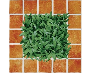 Gạch Đồng Tâm 4040 CLG 002