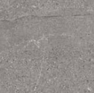 Gạch Đồng Tâm 4080TAYBAC004