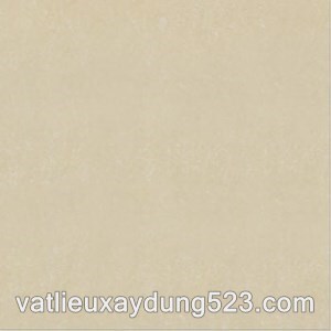 Gạch Đồng Tâm 60×60 DB006-NANO