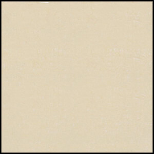 Gạch Đồng Tâm 60×60 DB006-NANO