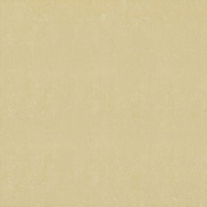 Gạch Đồng Tâm 60×60 DB006-NANO