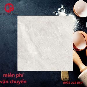 Gạch Đồng Tâm 60×60 DTD6060 TRUONGSON002