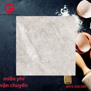 Gạch Đồng Tâm 60×60 DTD6060 TRUONGSON003