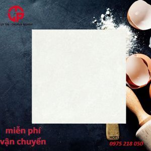 Gạch Đồng Tâm 60×60 MARMOL005-NANO