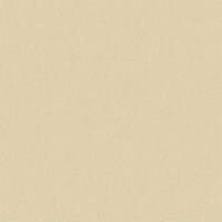 Gạch Đồng Tâm 6060VICTORIAC004