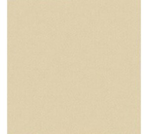 Gạch Đồng Tâm 6060VICTORIAC004