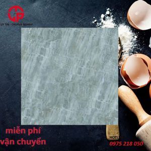 Gạch Đồng Tâm 80×80 DTD6060 TRUONGSON003