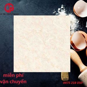 Gạch Đồng Tâm 80x80 8080NAPOLEON003