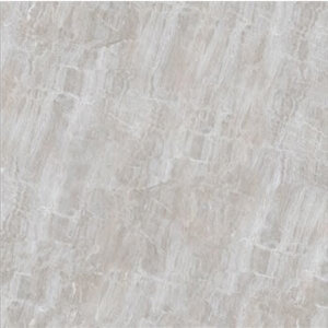 Gạch Đồng Tâm 80x80 DTD8080Truongson002-FP-H+
