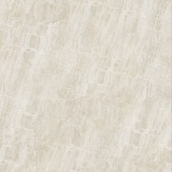 Gạch Đồng Tâm 80x80 DTD8080Truongson001-FP-H+