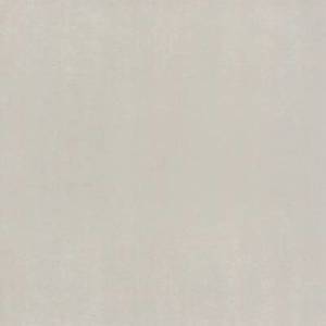 Gạch Đồng Tâm WS014 - 60x60
