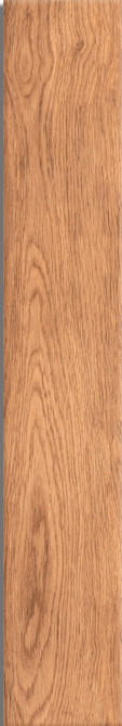 Gạch giả gỗ 15x90 Viglacera GT15902